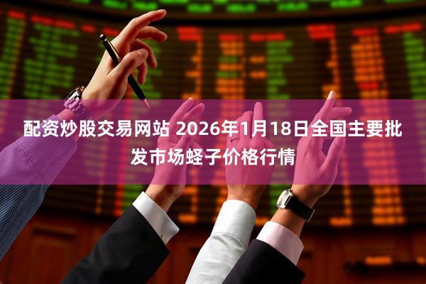 配资炒股交易网站 2026年1月18日全国主要批发市场蛏子价格行情
