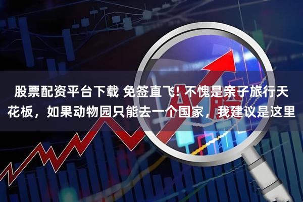 股票配资平台下载 免签直飞! 不愧是亲子旅行天花板，如果动物园只能去一个国家，我建议是这里